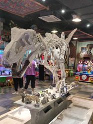 -卡通尼·Safari非洲探索乐园·生日会(金桥国际商业广场店)