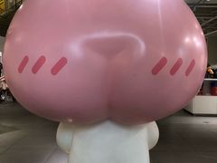 -KAKAO FRIENDS(弘大店)