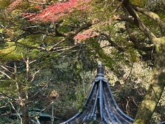 -十八棵（老龙井）御茶园(老龙井店)