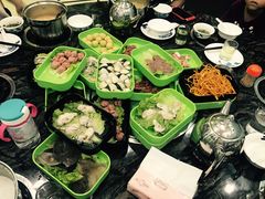 -蚝专家