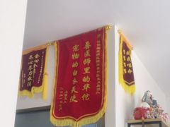 -伟伟宠物医院·瑞派猫友好医院·猫科(光谷店)