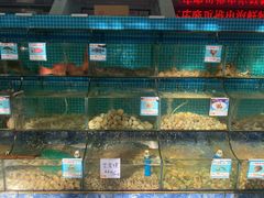 水产区-范饭椰林川湘味海鲜·椰子鸡(三亚湾椰梦长廊店)