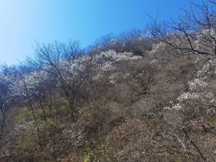 -慕田峪长城