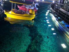 -海棠湾洲际-涛·海底餐厅·美人鱼·自助餐·海底隧道