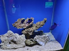 -海合安青岛极地海洋公园