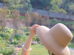 -金鸡山公园