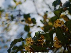 景观位-麻雀咖啡SPARROW COFFEE(十全街店)