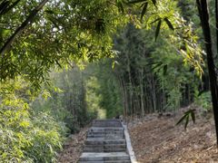 -潜山国家森林公园