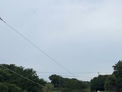 -莲花岛景区