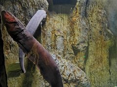 -多彩贵州城极地海洋世界