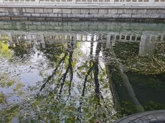 -皇家御河游(紫御湾码头)