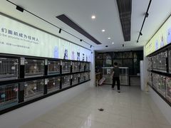 -翊宠yipet猫狗购宠庄园犬舍•猫舍