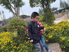 -铁山坪森林公园