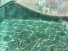 android_upload_pic-新疆天山野生动物园