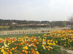 -秀丽东方