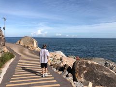 -广东惠东海龟国家级自然保护区