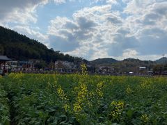 -红山村