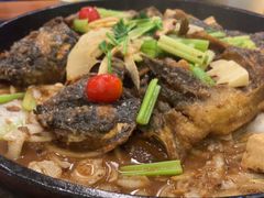-老板恋上鱼(环山路店)