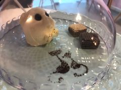 -三花喵·撸猫购宠·宠物生活馆(虹桥南丰城店)