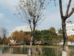 -映月湖公园