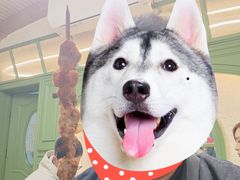 -努日曼无花果抓饭快餐(和田街小区店)