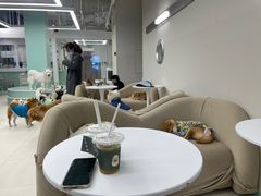 -怪兽屋·羊驼·猫咖·狗咖(俊华广场店)