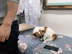 -一次性洗纹身·修复疤痕·超皮秒
