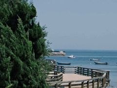 -烟台海昌鲸鲨海洋公园