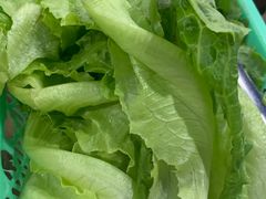 -章记正宗南岗鱼蛋火锅