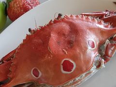 -荣誉国际酒店-云顶旋转餐厅