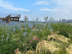 -汉长安城未央宫国家考古遗址公园