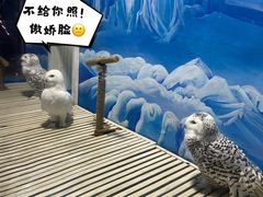 -成都浩海立方海洋公园