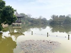 -江心屿景区