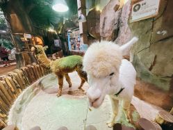 -宝燕乐园(闵行旗舰店)