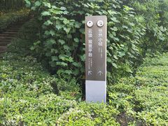 -天目湖涵田度假村
