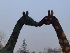 -西安秦岭野生动物园