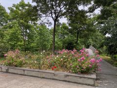 -江南大学(蠡湖校区)
