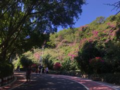 -仙岳公园