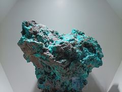 -安徽省地质博物馆
