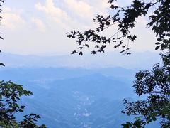 -天目山大树王景区