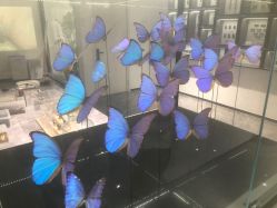 -酷嗒动物文化乐园(cutezoo西溪乐天城店)