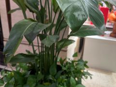-洛阳宴·洛阳菜(南昌路店)
