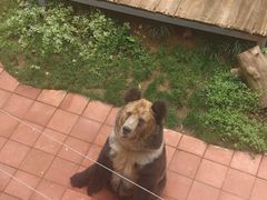-昆明动物园