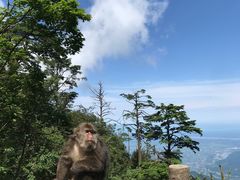 -峨眉山风景名胜区