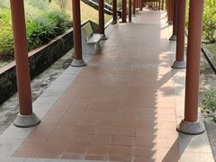 -广州神农草堂中医药博物馆