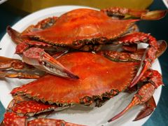 -金海湾海鲜总店