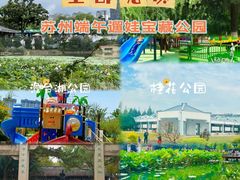 -白塘生态植物园