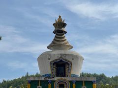 -塔尔寺菩提树