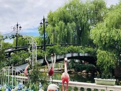 -J Create城市露营咖啡·简餐·宠物(上海动物园店)