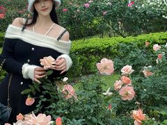 -人民公园(罗湖区)